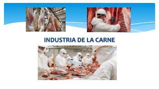 INDUSTRIA DE LA CARNE TA