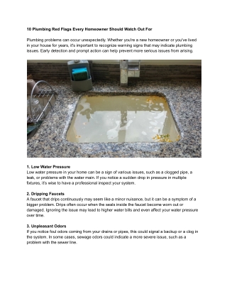 10 Plumbing Red Flags Every Homeowner Should Watch Out For