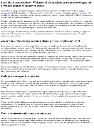Auto serwis. Wskazówki dla mechanika samochodowego: jak utrzymać pojazd w idealn