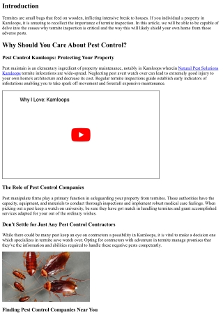 Termite Inspection 101: Why it awfully is Crucial for Your Kamloops Property