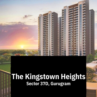 The Kingstown Heights