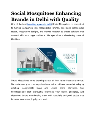 Social Mosquitoes Enhancing Brands in Delhi with Quality