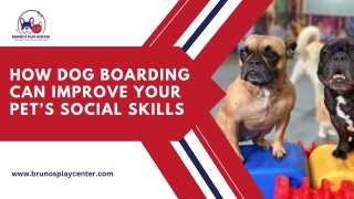 The Social Benefits of Dog Boarding: A Happier, Friendlier Pet