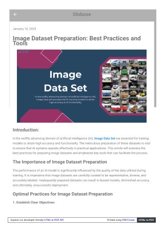 Image Dataset Preparation: Best Practices and Tools