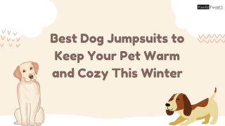 Best Dog Jumpsuits to Keep Your Pet Warm and Cozy This Winter