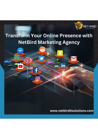 Transform Your Online Presence with NetBird: Noida’s Best Digital Marketing