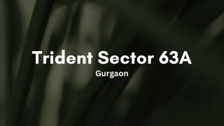 Trident Sector 63A Gurugram PDF