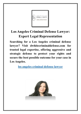 Los Angeles Criminal Defense Lawyer