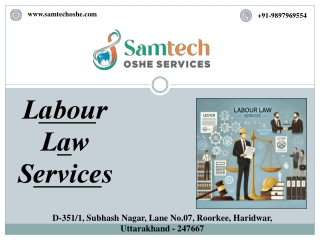 Comprehensive Labour Law Services Guide