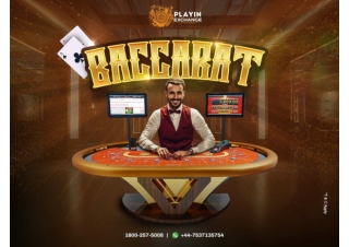 Get Started with Online Casino Betting on playinexch