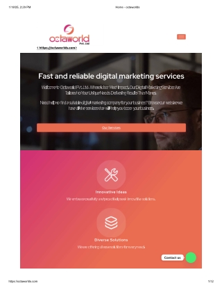 Full-Service Digital Marketing Solutions | OctaWorlds