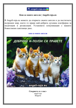 Кои са моите ангели  Angeli-raja.eu