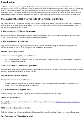 Discovering the Rich Marine Life of Carlsbad, California.