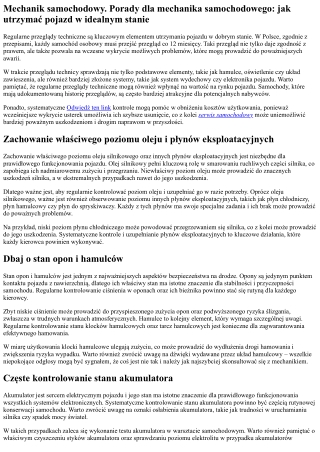 Auto serwis. Wskazówki dla mechanika samochodowego: jak utrzymać pojazd w doskon