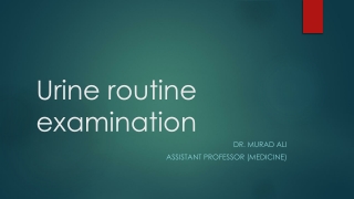 Urine routine examination