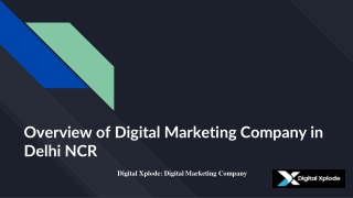 Overview of Digital Marketing Company in Delhi NCR