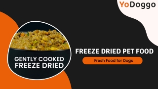 Freeze-Dried Pet Food: Healthy & Delicious Meals for Your Dog – YoDoggo