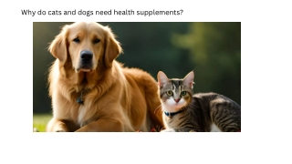 Why do cats and dogs need health supplements
