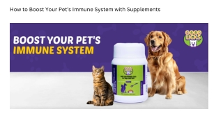 How to Boost Your Pet’s Immune System with Supplements