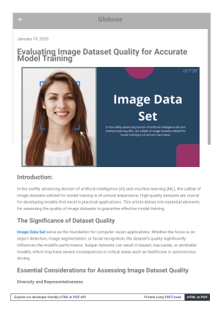 Evaluating Image Dataset Quality for Accurate Model Training