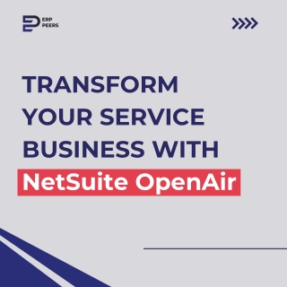 NetSuite OpenAir