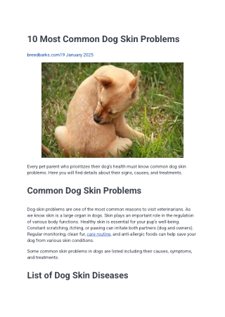10 Most Common Dog Skin Problems