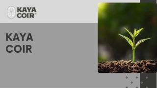 High-Quality Coco Coir