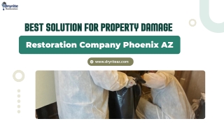 Restoration Company Phoenix AZ: Mold Remediation and Damage Restoration Experts
