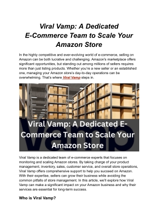 Viral Vamp_ A Dedicated E-Commerce Team to Scale Your Amazon Store
