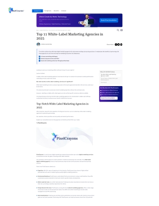 Top 11 white label marketing agencies in 2025