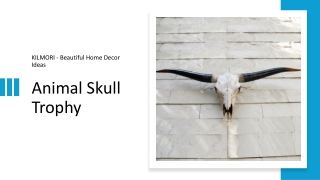 Animal Skull Trophy