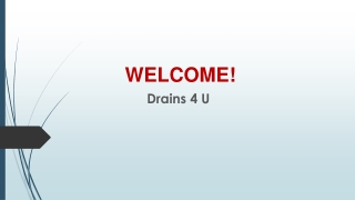 The Best service for Septic Tank Installation in Pauatahanui