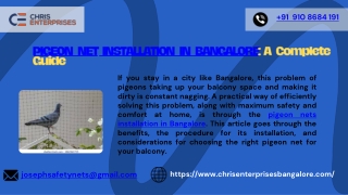 Pigeon Net Installation In Bangalore