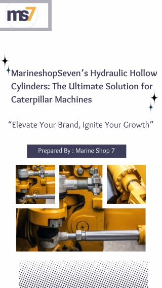 Why Choose MarineshopSeven for Caterpillar Hydraulic Hollow Cylinders?