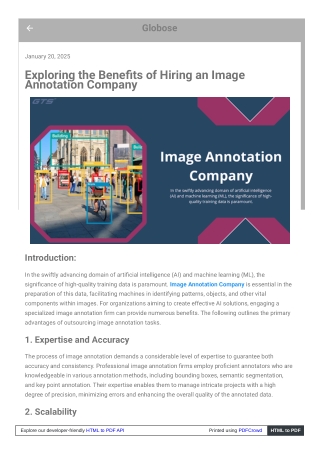 Exploring the Benefits of Hiring an Image Annotation Company