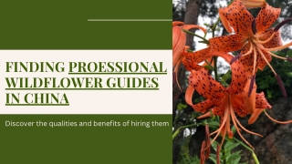 Professional Wildflower Guides in China