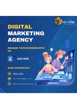 Grow Your Business with NetBird: Noida’s Best Digital Marketing Agency