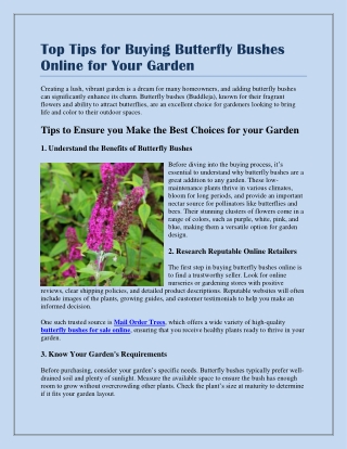 Top Tips for Buying Butterfly Bushes Online for Your Garden