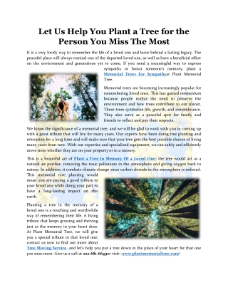 Let Us Help You Plant a Tree for the Person You Miss The Most