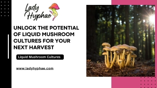 Liquid Mushroom Culture: Unlock the Future of Cultivation with Lady Hyphae