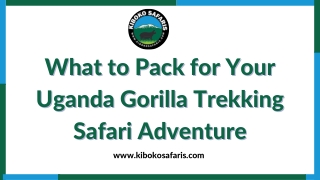 What to Pack for Your Uganda Gorilla Trekking Safari Adventure