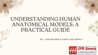 Understanding Human Anatomical Models: A Practical Guide