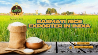 Basmati Rice Exporter in India