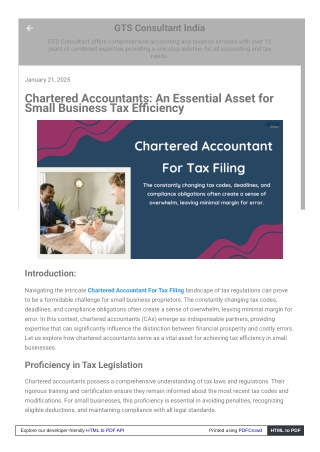 Chartered Accountants: An Essential Asset for Small Business Tax Efficiency