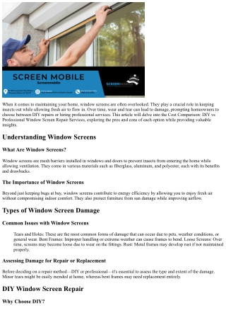 Cost Comparison: DIY vs Professional Window Screen Repair Services