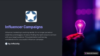 Influencer Campaigns