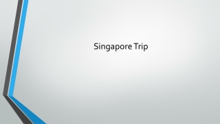 Singapore Trip
