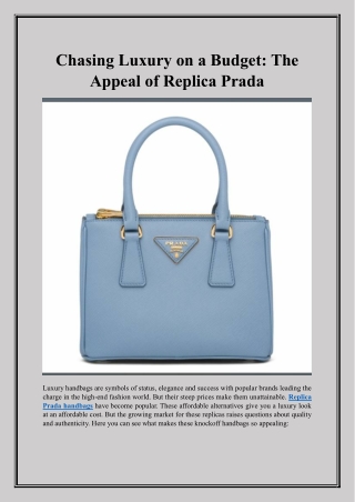 Chasing Luxury on a Budget The Appeal of Replica Prada