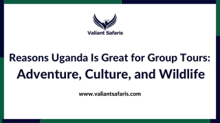 Reasons Uganda Is Great for Group Tours  Adventure, Culture, and Wildlife