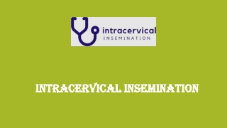 At Home Pregnancy Insemination Kit